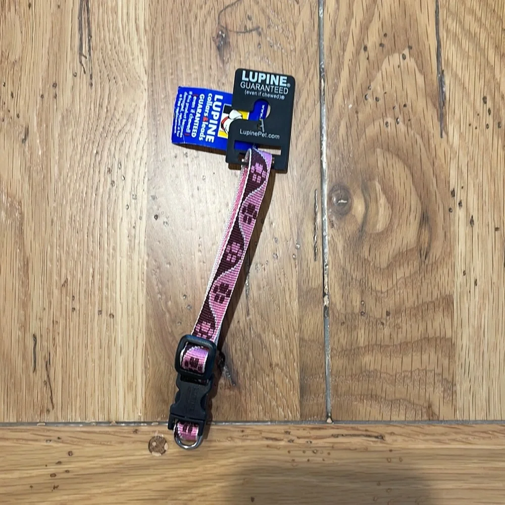 πΎ HPπΎ NWT Pink Dog Collar for small dogs - Picture 1 of 4